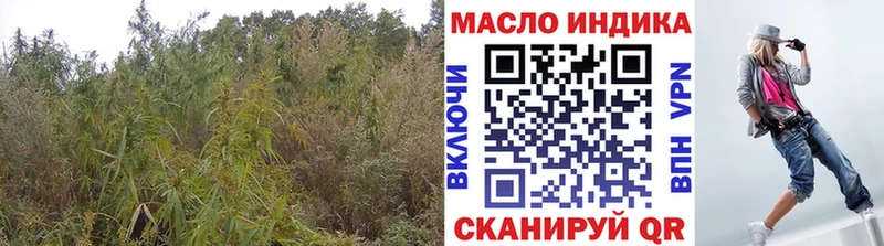 наркотики  Грозный  блэк спрут рабочий сайт  ТГК жижа 