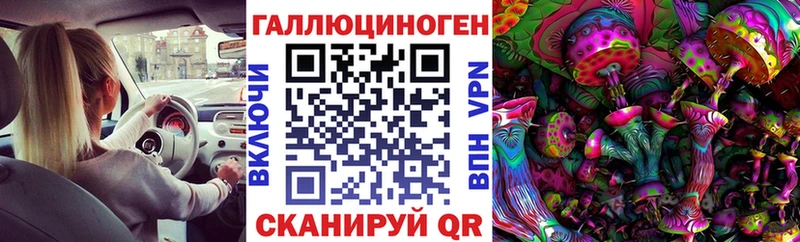 Псилоцибиновые грибы GOLDEN TEACHER  KRAKEN как войти  Грозный 