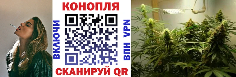Канабис индика  цены   Грозный 